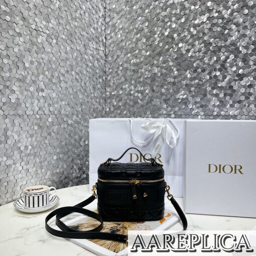 Replica Dior Small DiorTravel Vanity Case S5488UNTR_M900 9