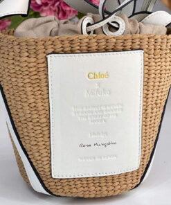 Replica Chloé CHC22SS391G56101 Small Basket Tote Bag White 2
