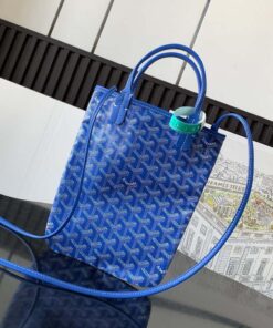 Replica Goyard POICLAPMLTY11CL61P Poitiers Claire Voie Bag Blue 2