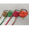 Replica Dior S5685 Micro Saddle Bag With Strap Scarlet Orange Goatskin