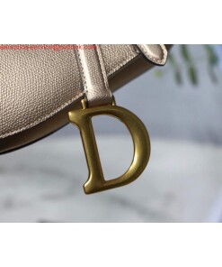 Replica Dior M0446 Dior Saddle Bag M0447 Silvry Grey Grained Calfskin 2