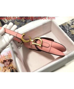 Replica Dior M0446 Dior Saddle Bag M0447 Pink Goatskin 2