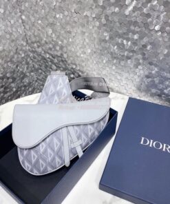 Replica Dior Saddle Gray CD Diamond Canvas and Smooth Calfskin 1ADPO09