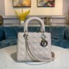 Replica Dior Lady Dior Medium Flap Cover Quilted in Cannage Lambskin L 11