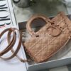 Replica Dior Lizard Leather Mini Lady Dior Bag in Avocado 14