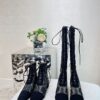 Replica Dior Naughtily-D Heeled Ankle Boots Transparent Mesh and Suede