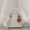 Replica Lady Dior Dioramour My ABCdior Bag Red Cannage Lambskin with H 10