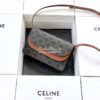 Replica Celine Nano Belt Bag Pale Pink Grained Calfskin 185003 13