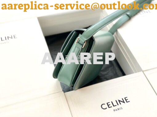 Replica Celine Triomphe Bag Celadon 10