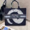 Replica Dior Book Tote bag Embroidered Canvas with Blue Around The Wor 18