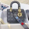 Replica My Lady Dior Bag Lambskin with Customisable Shoulder Strap Nud 11