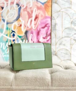 Replica Celine Medium Frame Bag in green/mint Shiny Smooth Calfskin 18 2