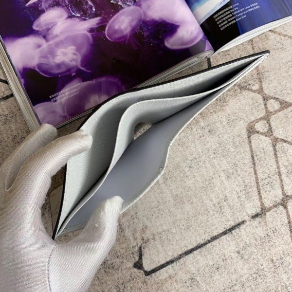Replica Louis Vuitton Brazza Wallet Taigarama Antarctica M30298 BLV1063 for  Sale