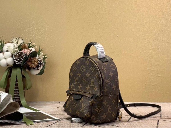 New Louis Vuitton Palm Springs Mini Backpack M44873