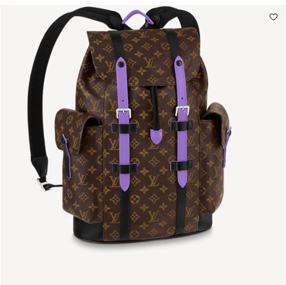 Louis Vuitton Christopher Backpack Pm N93491