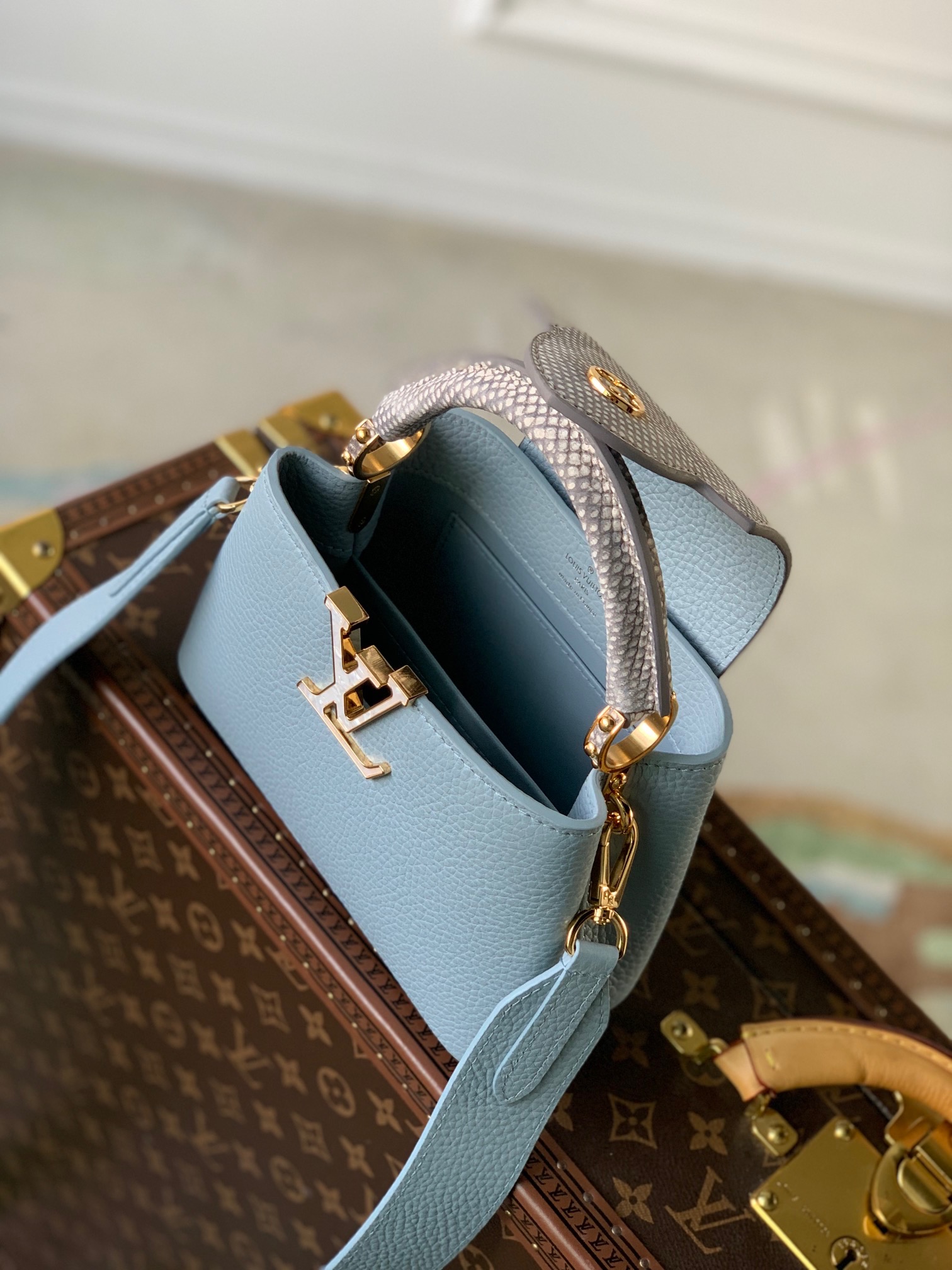 Momma Coussin PM and Baby Coussin BB : r/Louisvuitton